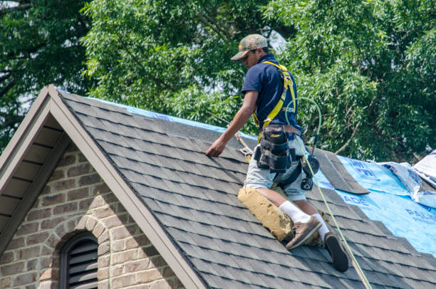 Best Roof Repair Services  in Winchester, OH